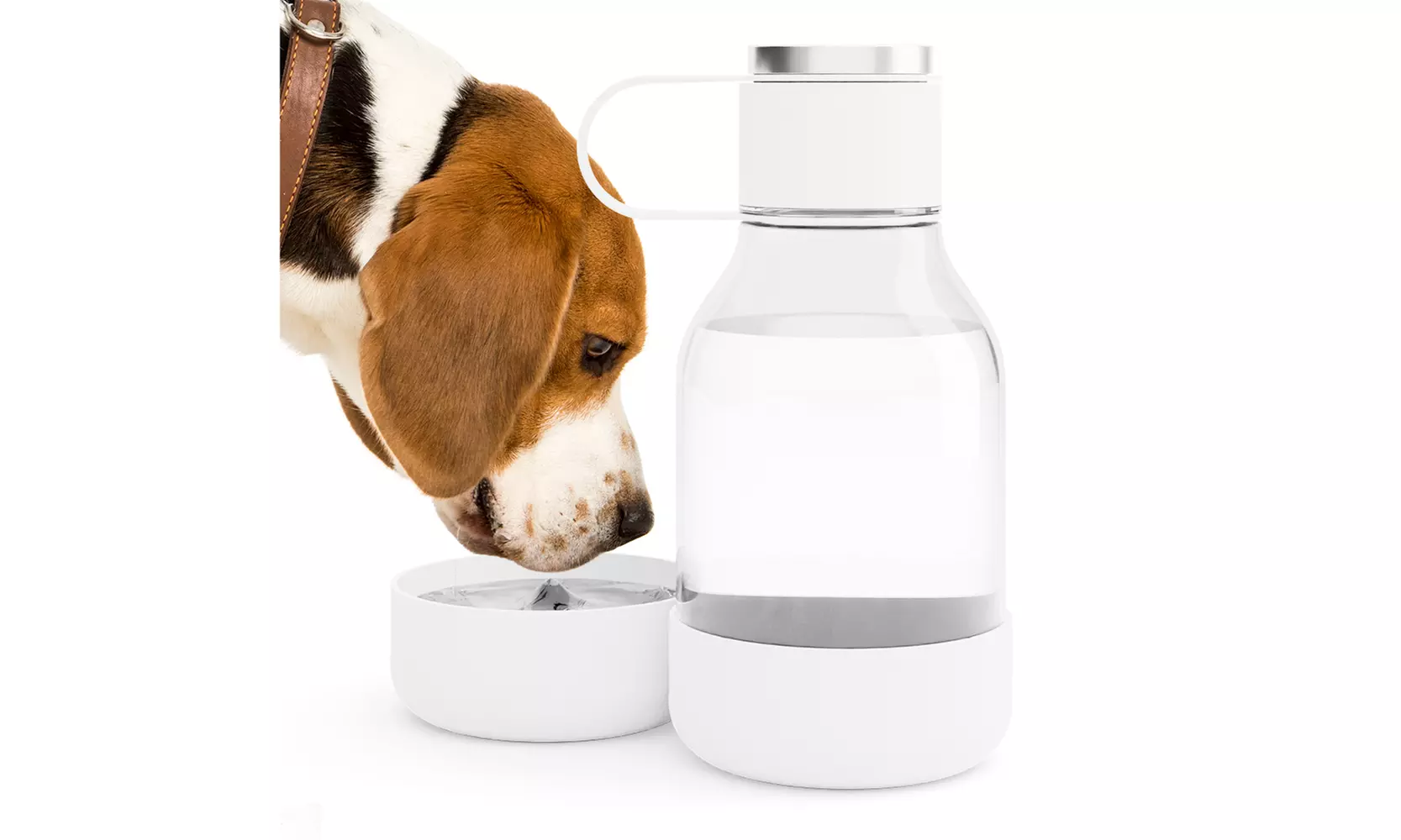 Asobu Tritan Water Bottle with Dog Bowl Attached- 50 Ounces
