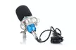 Floureon Condenser Microphone Pop Filter Wind Screen Arm Stand  Female Microphon - Second Medium