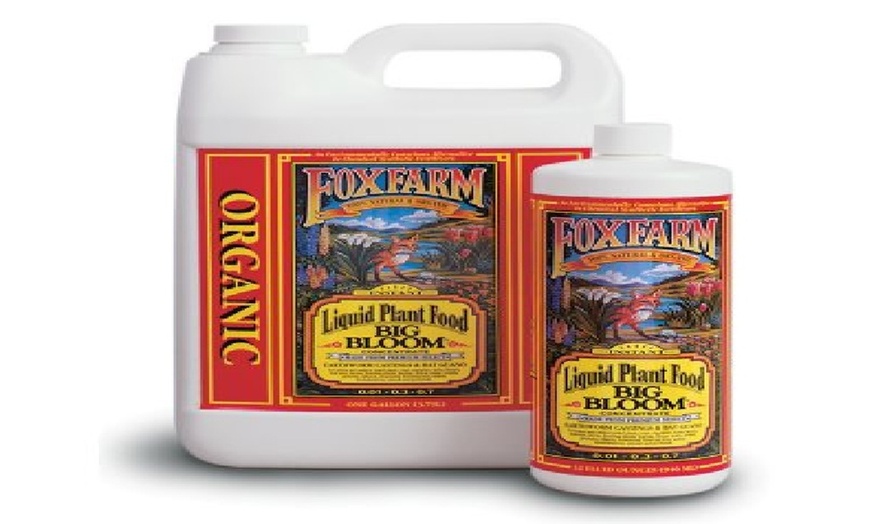 Hydrofarm Fx14002 Foxfarm Big Bloom Liquid Plant Food - 1 Quart | Groupon