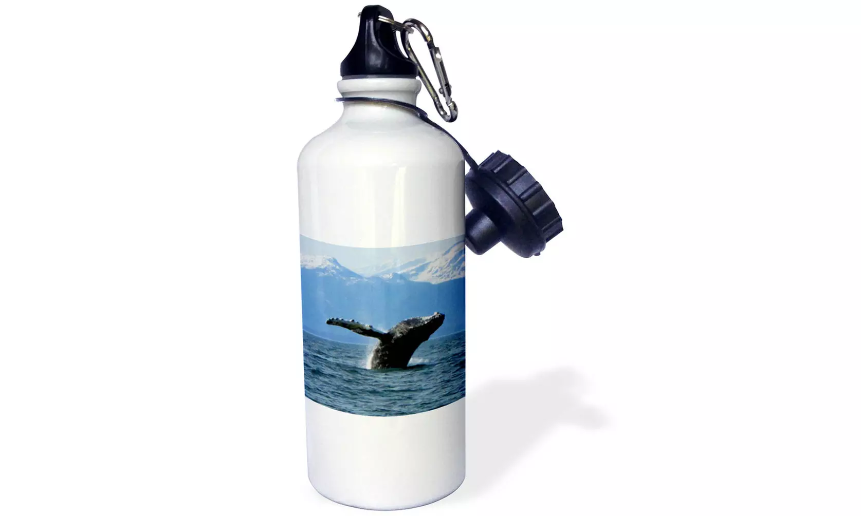  Water Bottle Humpback Whale Acrobatics in the Lynn Canal in Southeast Alaska - Primary Image