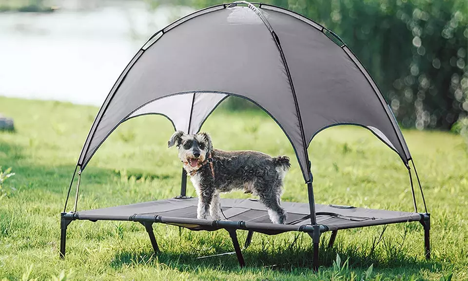 Elevated Mesh Cot Cooling Bed With Canopy For Dogs - Primary Image
