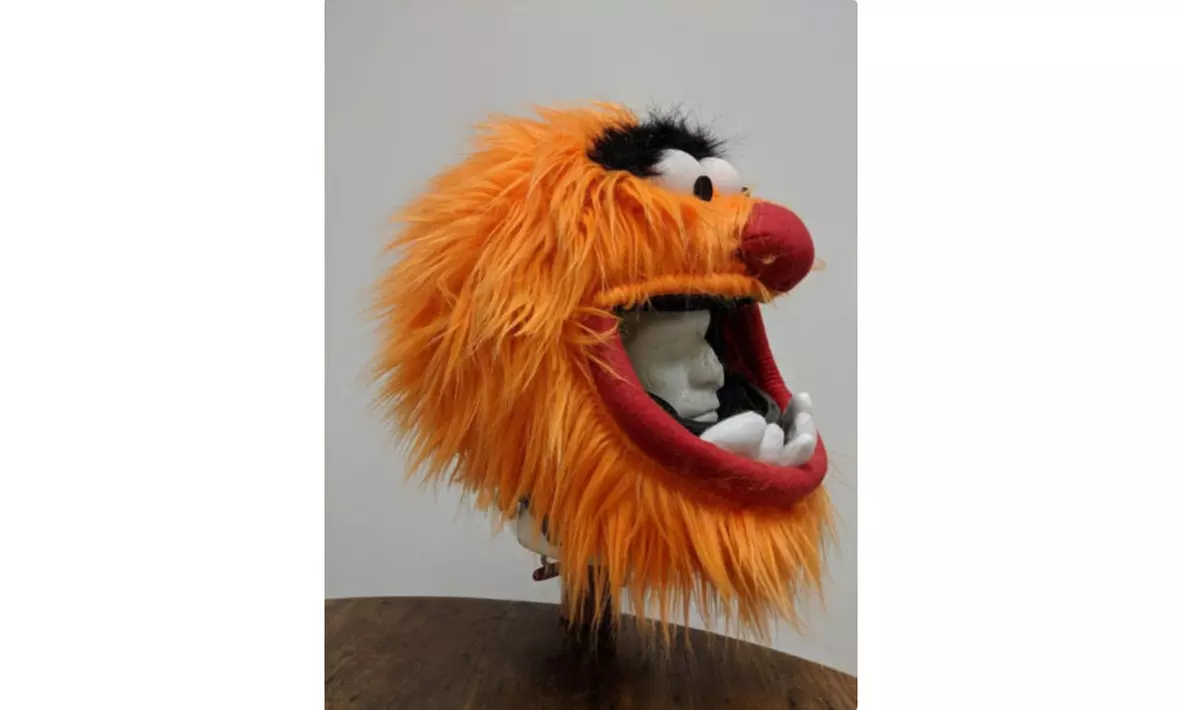 Animal Motorcycle Helmet Cover - Primary Image