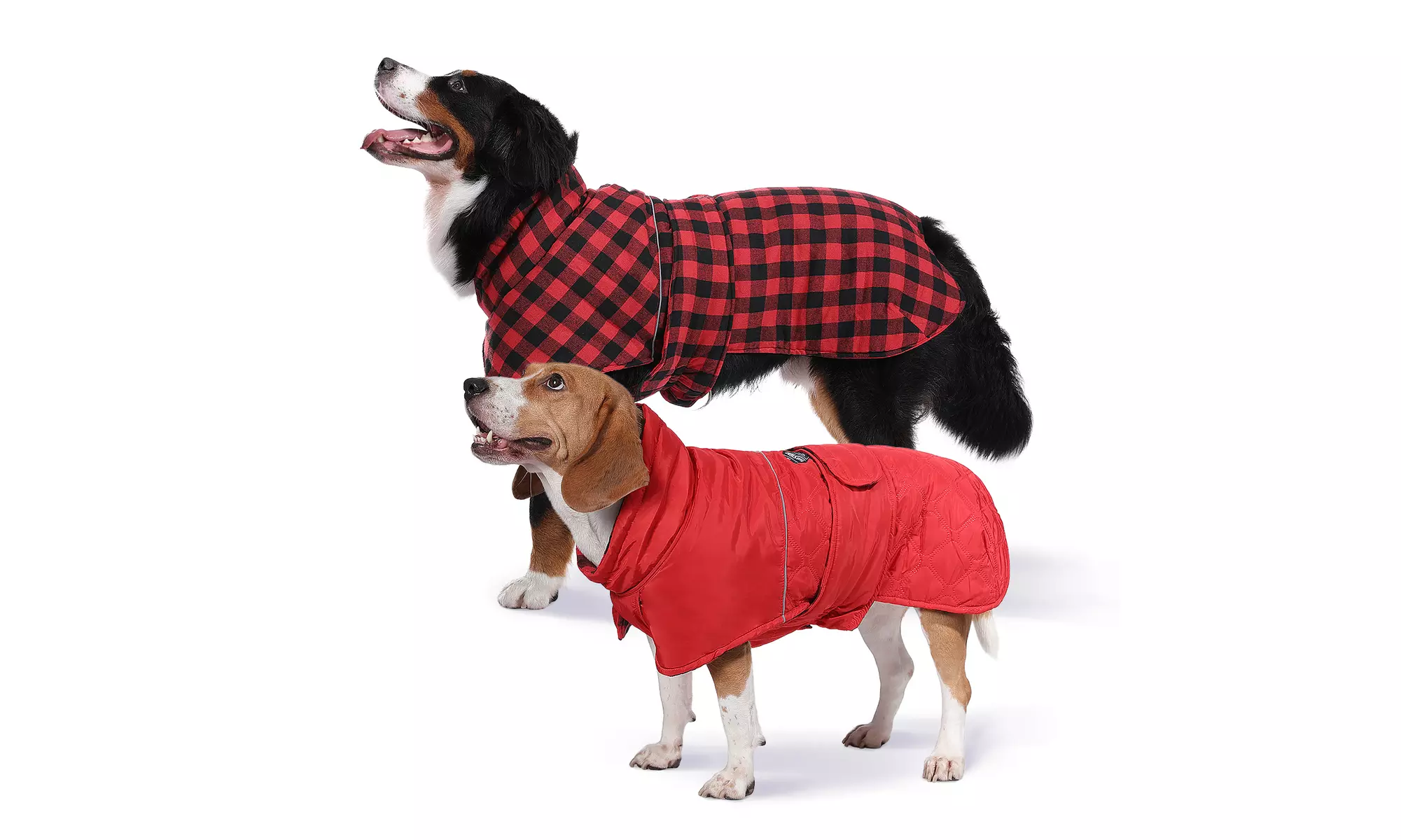 Water-Repellent Reversible Dog Winter Coat with Warm Secure Belt