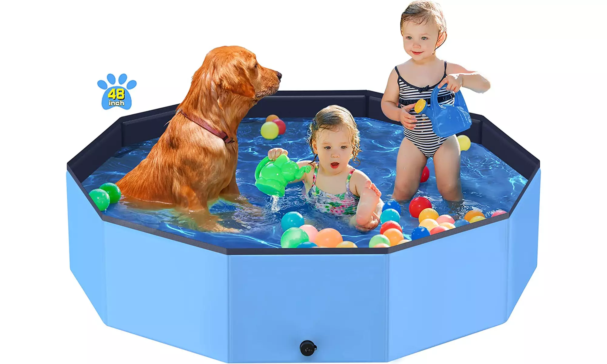 Foldable Dog Pool Pet Kids Swimming Pool Hard Plastic Shell Portable Pool - Primary Image
