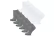 12 Pair Teehee Socks Casual and Fun Low Cut No Show Socks for Women - Second Medium