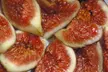  'Magnolia' - Fruiting Fig Tree - Second Medium