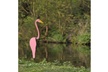 Swirl Bird Flamingo Statue Wind Spinners Garden Stake  - Second Medium