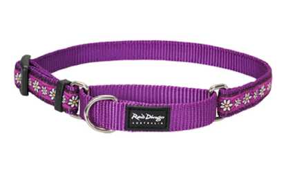 Red Dingo MC-DC-PU-SM Martingale Dog Collar 
