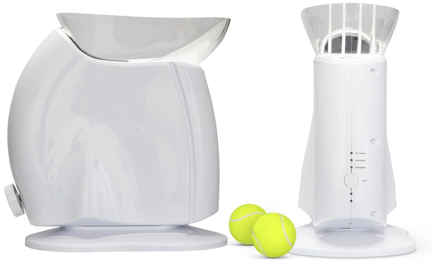 paws and pals automatic ball launcher