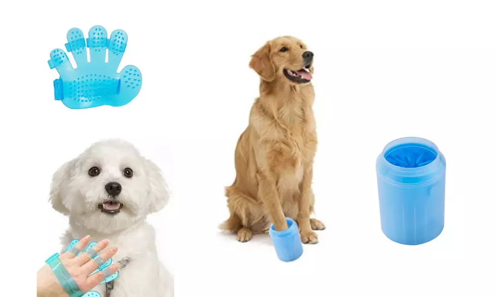 Silicone Pet Muddy Paw Washing Cup And Shower Massage Mitten - Primary Image