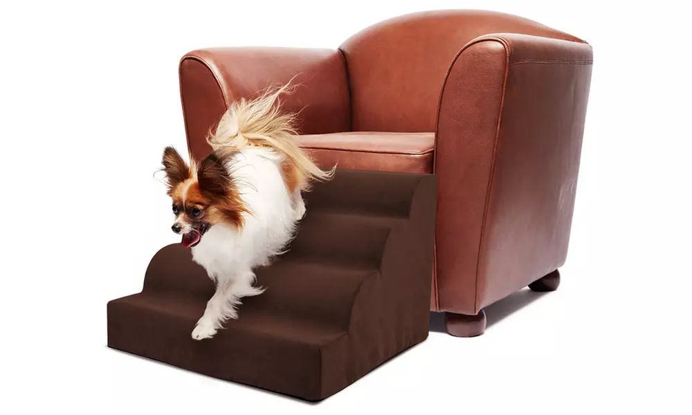 High Density-Foam Curved Pet Ramp - Second Medium