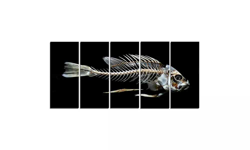 Fish Skeleton Bone on Black - Multipanel Animal 5 Panel Metal Wall Art - Second Medium