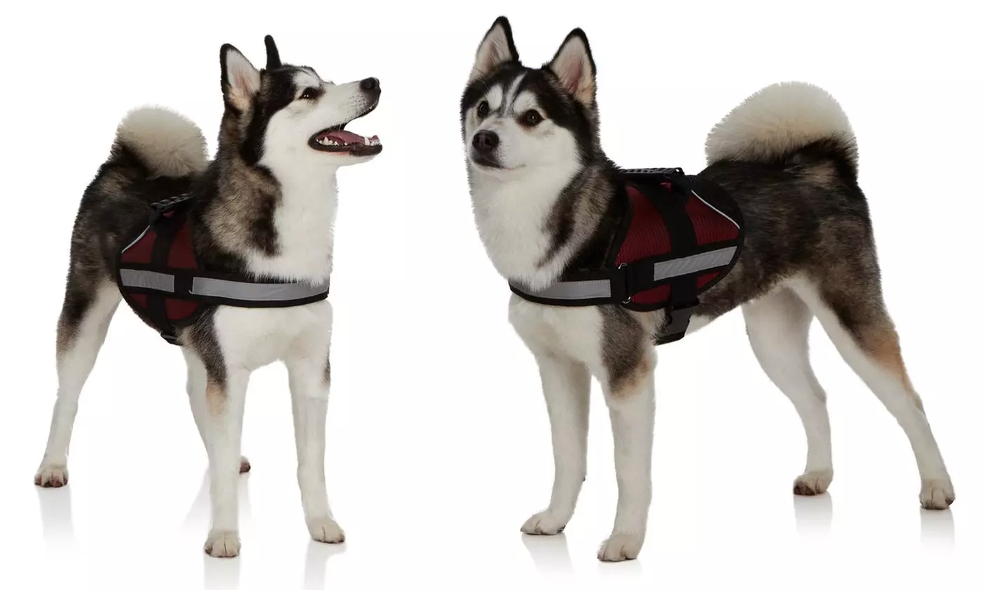 Ez-Pet Adjustable No-Pull Harness Vest - Second Medium