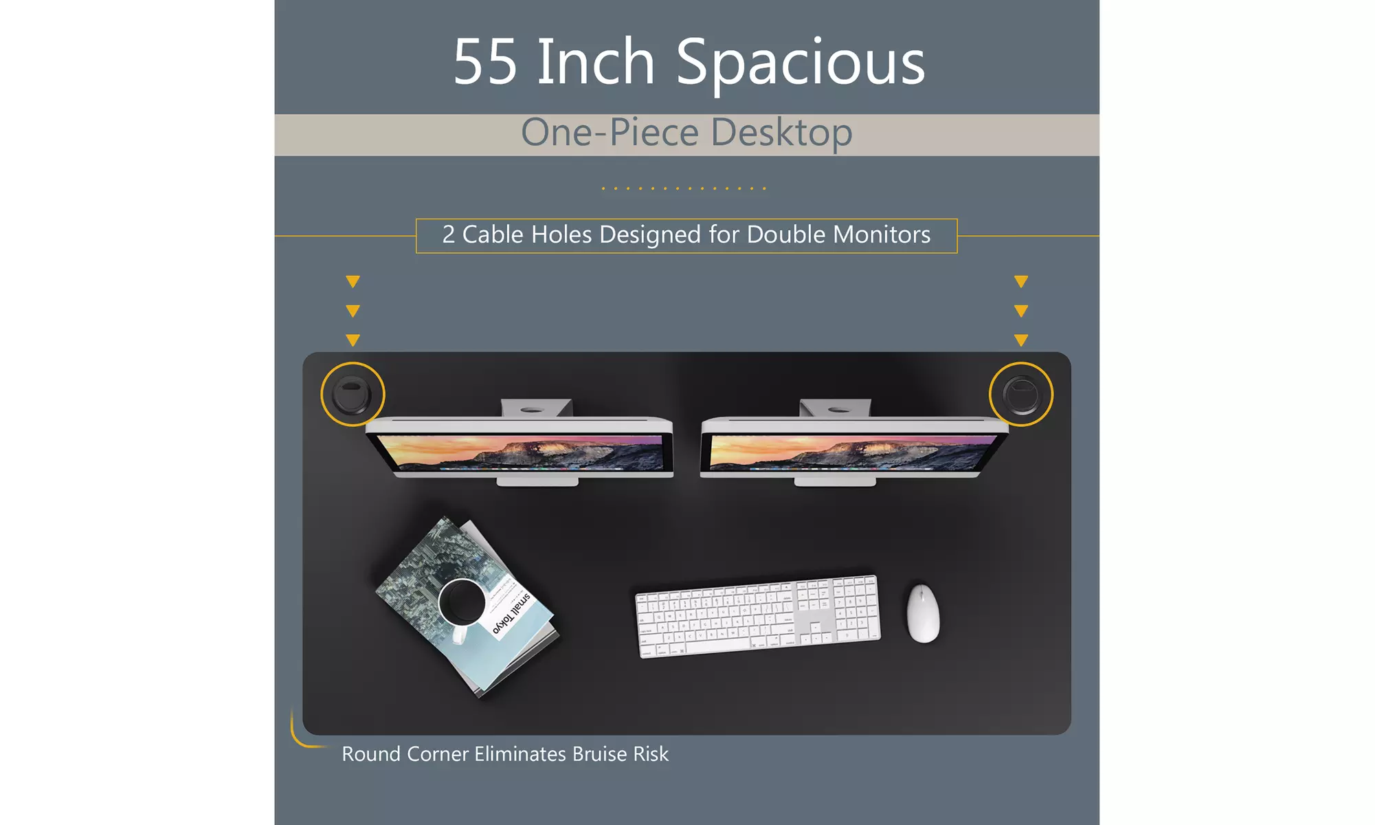 Costway 55'' x 28'' Electric Adjustable Standing up Desk Dual w/ Controller