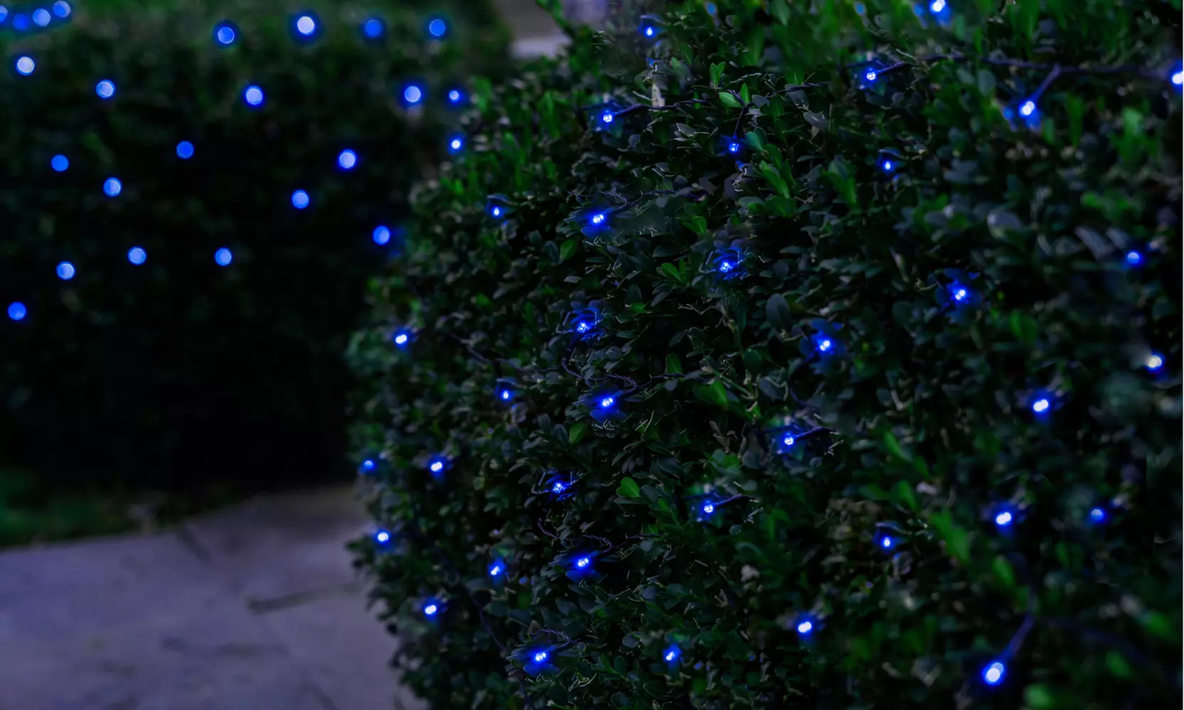 125LED Solar Powered String Lights. Multiple Colors & Quantities Available. 