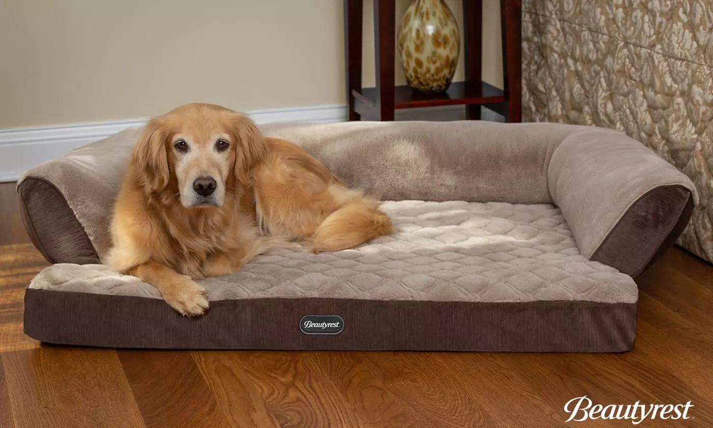  Beautyrest Super Lux Dog Bed Sofa  - Primary Image