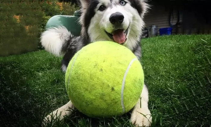 9.5" Oversize Giant Tennis Ball for Children Adult Pet Fun - Second Medium