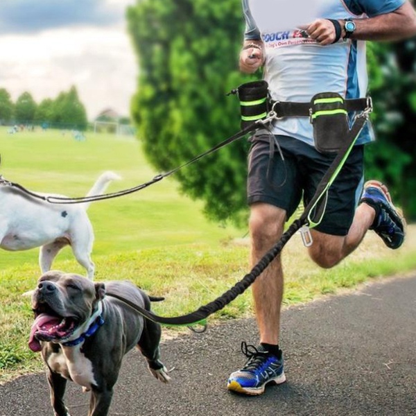 hands free leash