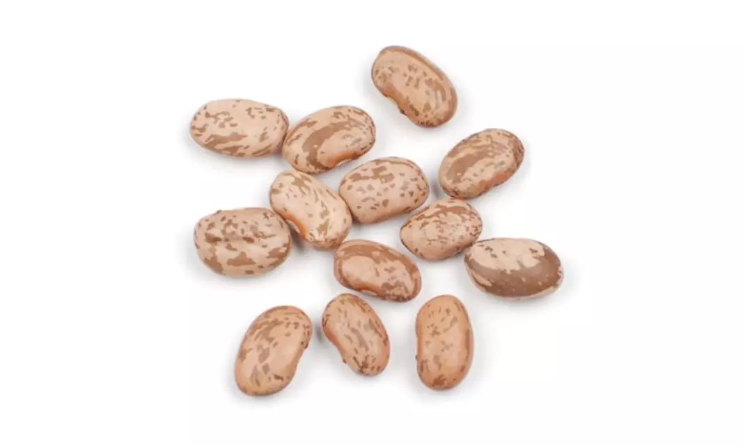 Bulk Peas And Beans Organic 100% Organic Pinto Beans 25 Lbs. - Primary Image
