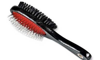 Double-Sided 2-in-1 Bristle and Pin Grooming Brush for Dogs and Cats