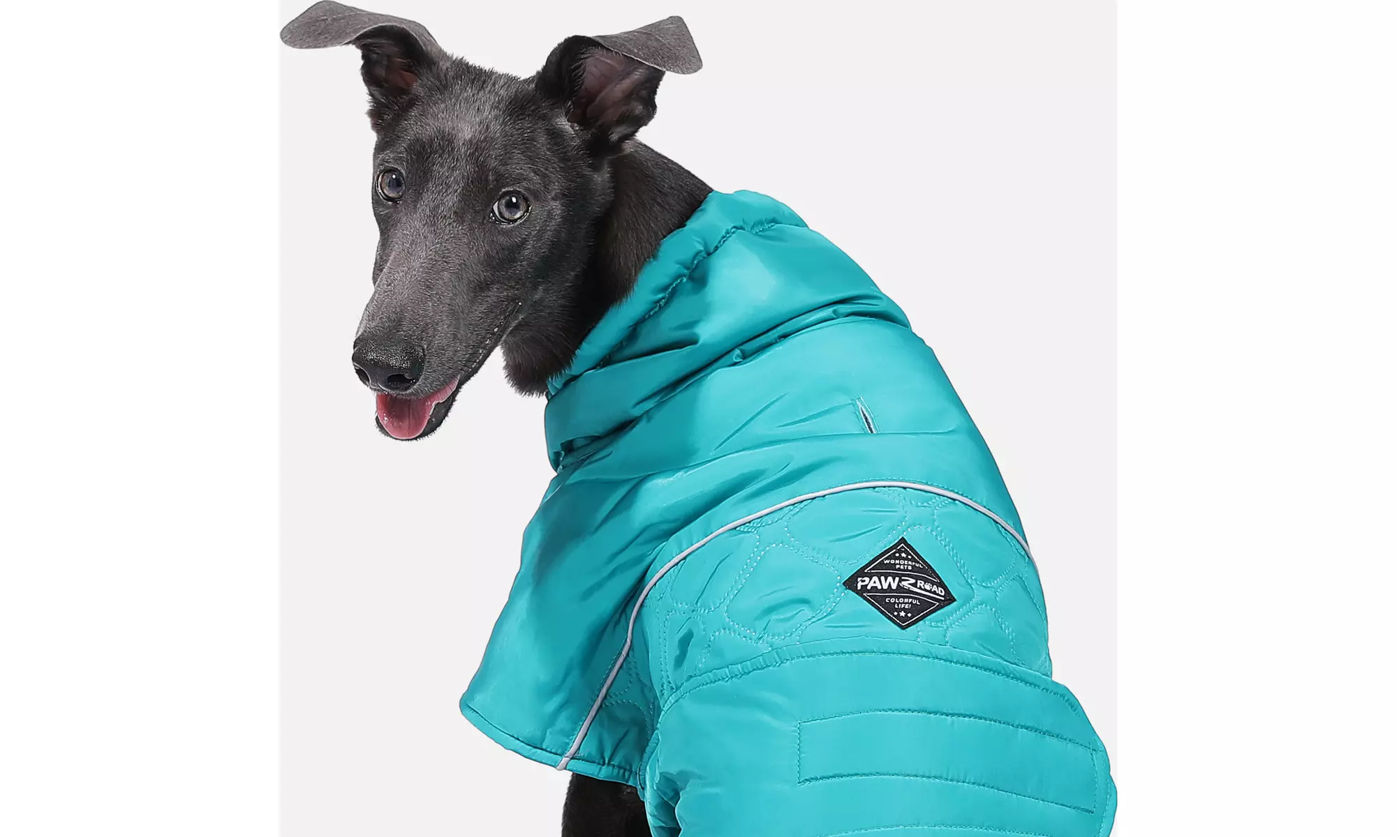 Water-Repellent Reversible Dog Winter Coat with Warm Secure Belt