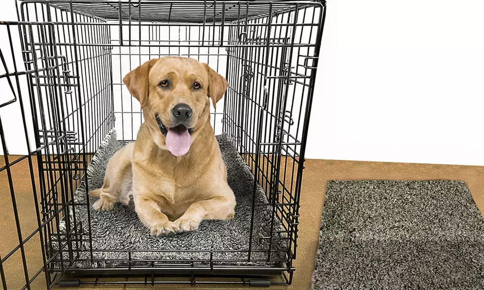 Scoochie Poochie Dog Bed & Crate Pad
