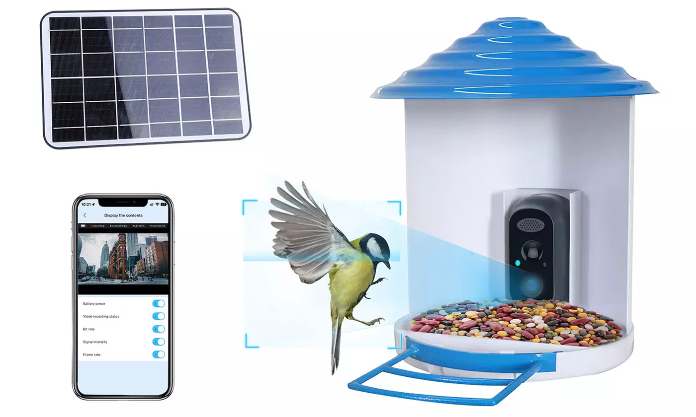 iMounTEK Smart Bird Feeder with Camera - 1080P HD Video