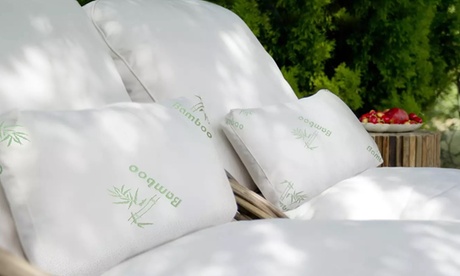 groupon NewHome Bamboo Hypoallergenic Memory Foam Pillow for Restful Sleep Support Foam Queen 2 Pack in White | Medium