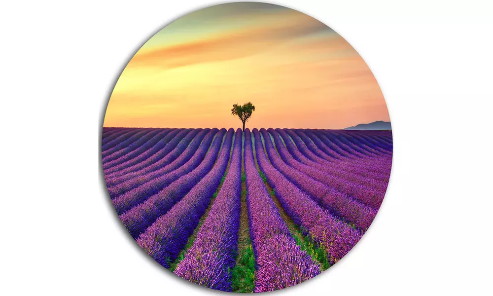Lavender Flower Rows in Provence' Oversized Landscape Wall Art Print - Second Medium
