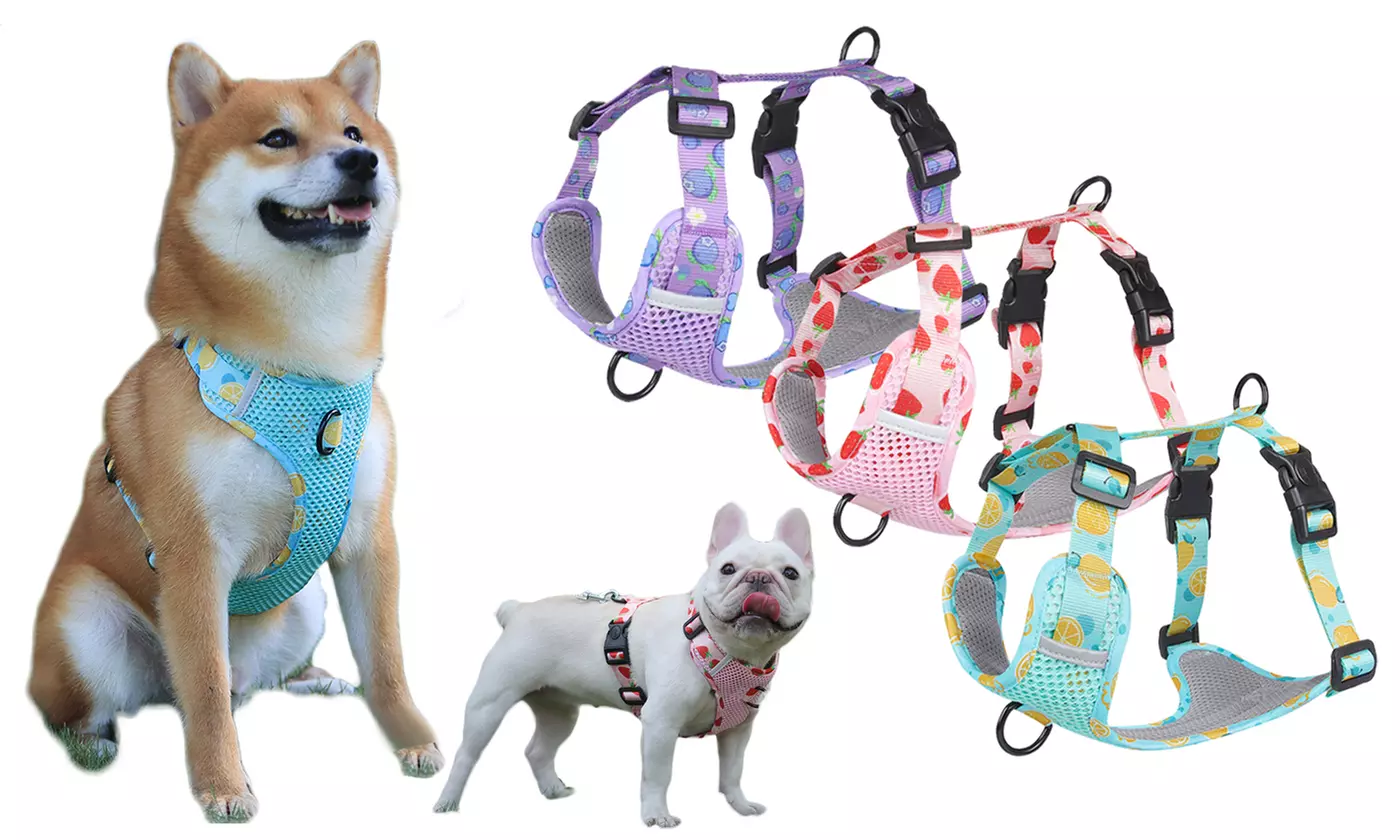 Soft Mesh Dog Harness Reflective Adjustable No Pull Vest Harness Easy Control - Primary Image