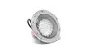 Pentair 78928500 300W 120V Amerlite Light