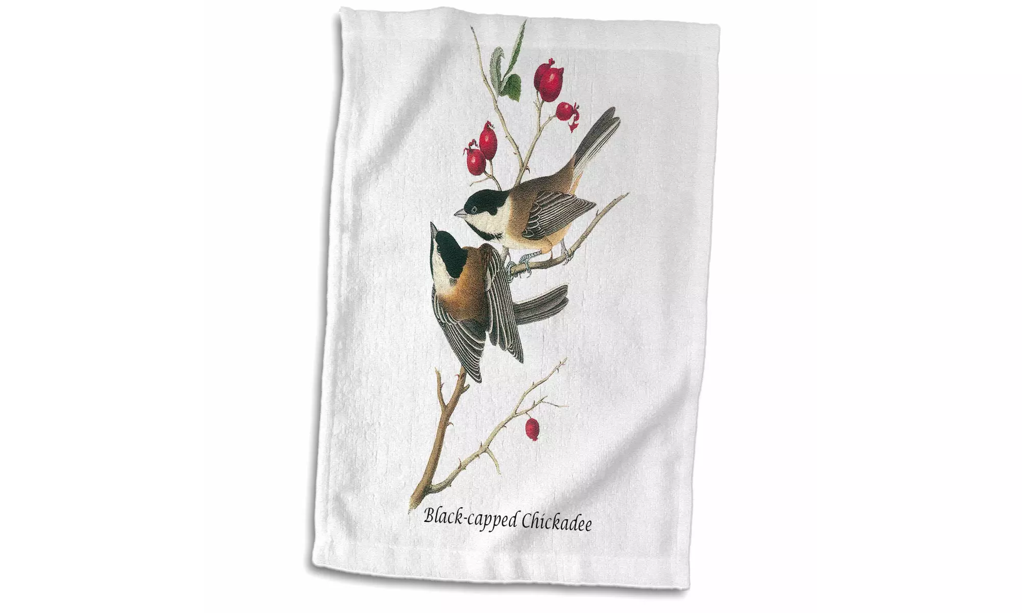  Towel - Black-capped Chickadee by John James Audubon - 15 by 22-inches  - Primary Image