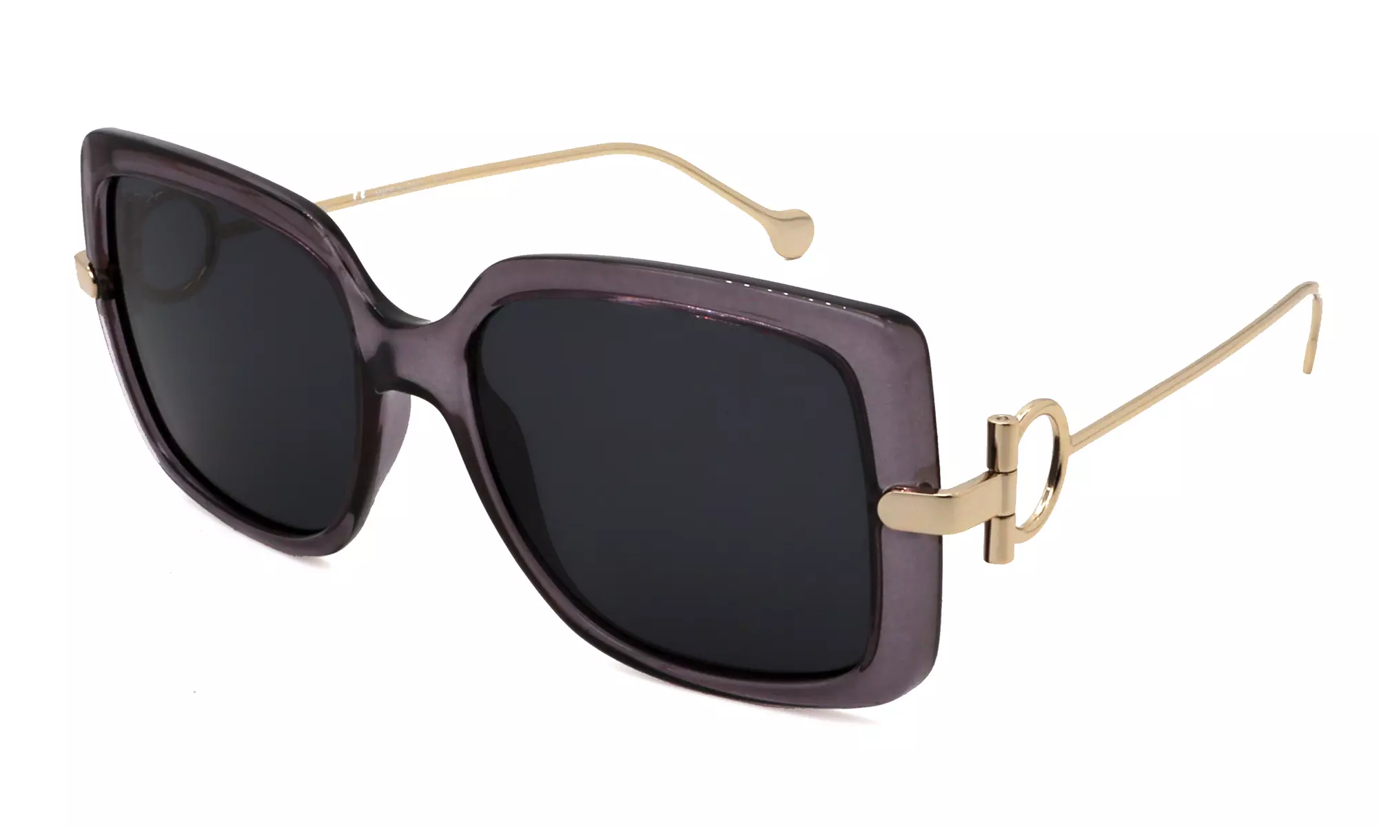 Salvatore Ferragamo Sunglass Collection 