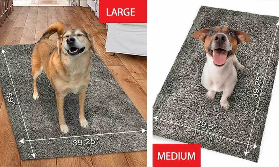 Scoochie Poochie Dog Bed & Crate Pad