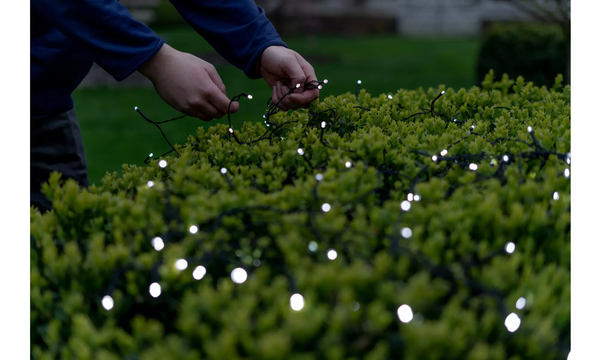 125LED Solar Powered String Lights. Multiple Colors & Quantities Available. 