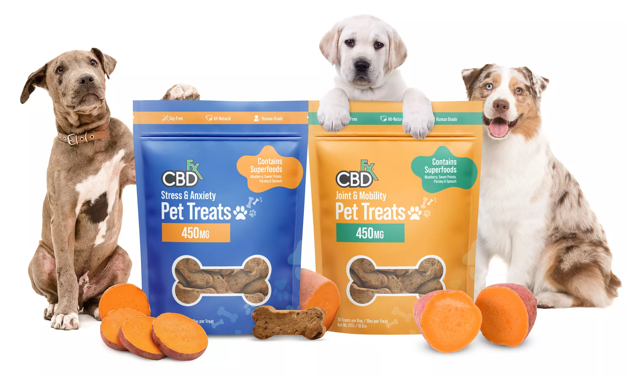 CBD Pet Treats from CBDfx - 450mg - Primary Image