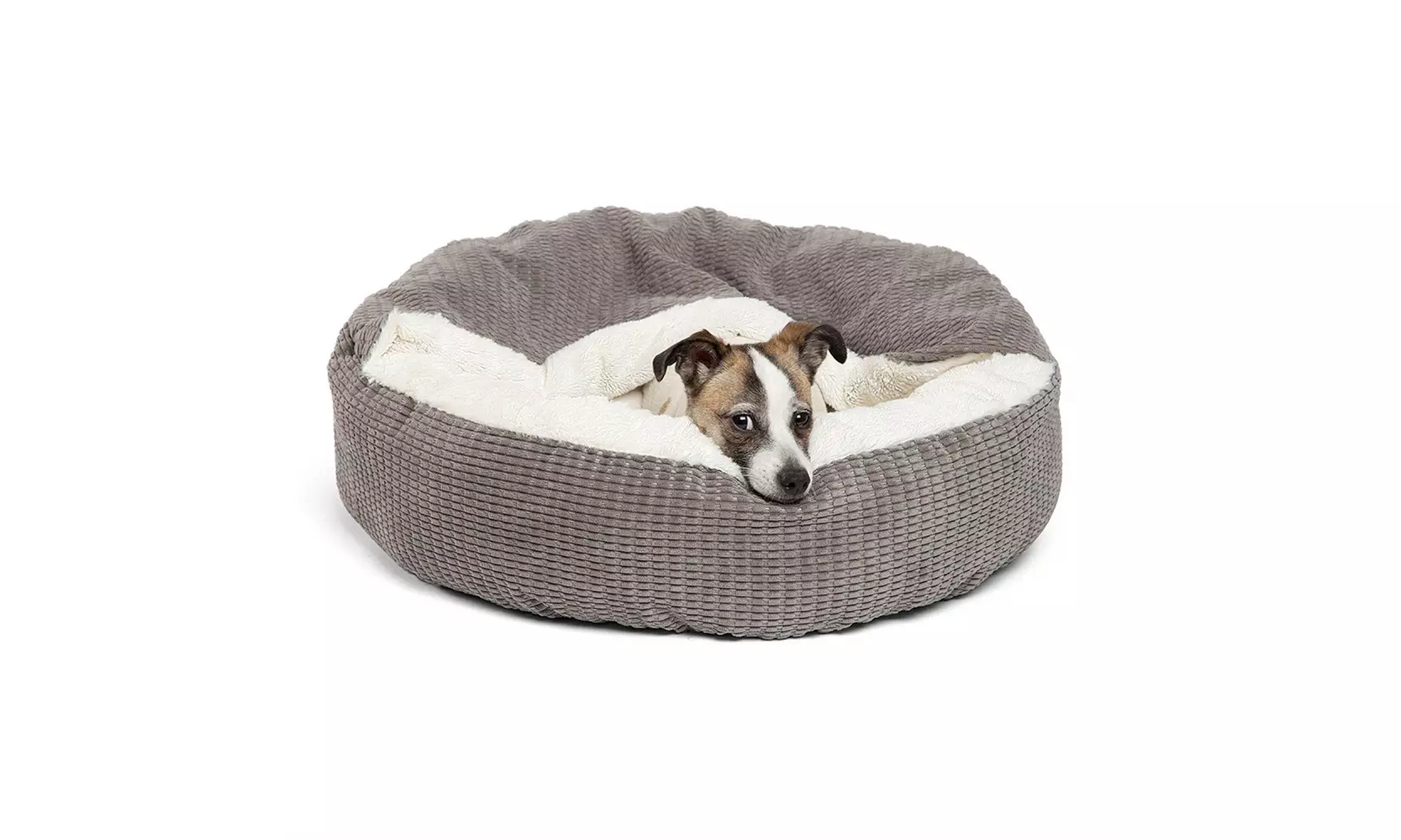 Best Friends by Sheri Cozy Cuddler Luxury Dog and Cat Bed with Blanket  - Second Medium