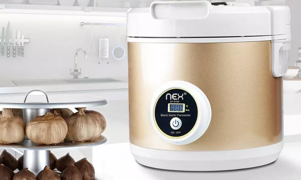 NEX Professional Healthy Black Garlic Fermenter - Second Medium