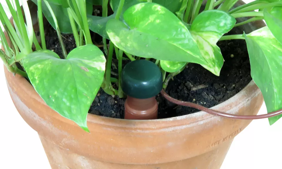 Evelots 3 Indoor Auto Self Watering Probes,Ceramic Plant System Spike - Second Medium