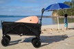 LakeForest Collapsible Utility Wagon Foldable Cart with All-Terrain Wheels - Second Medium