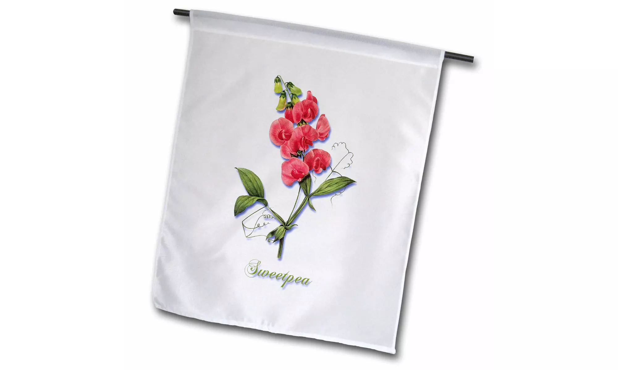  Garden Flag Red Vining Annual Sweetpea Botanical Print - 12 by 18-inches  - Primary Image