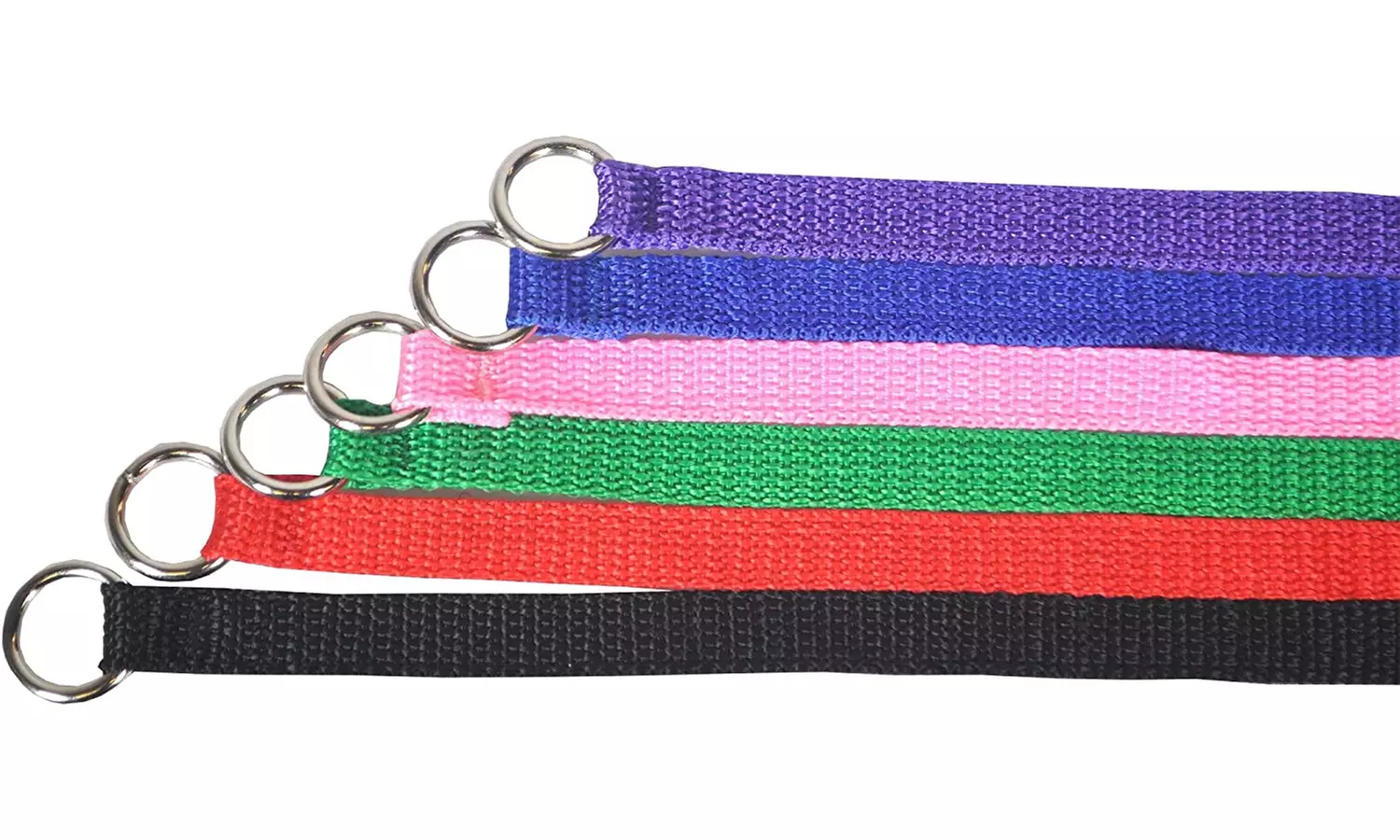 Downtown Pet Supply 6 Foot Slip Lead, Slip Leads, Bulk Dog Leashes with O Ring - Image 3