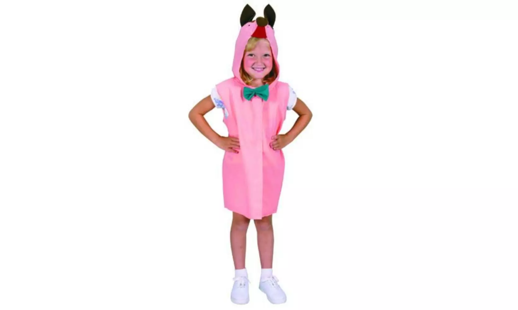 Dexter DEX 502 Pig Costume - Primary Image