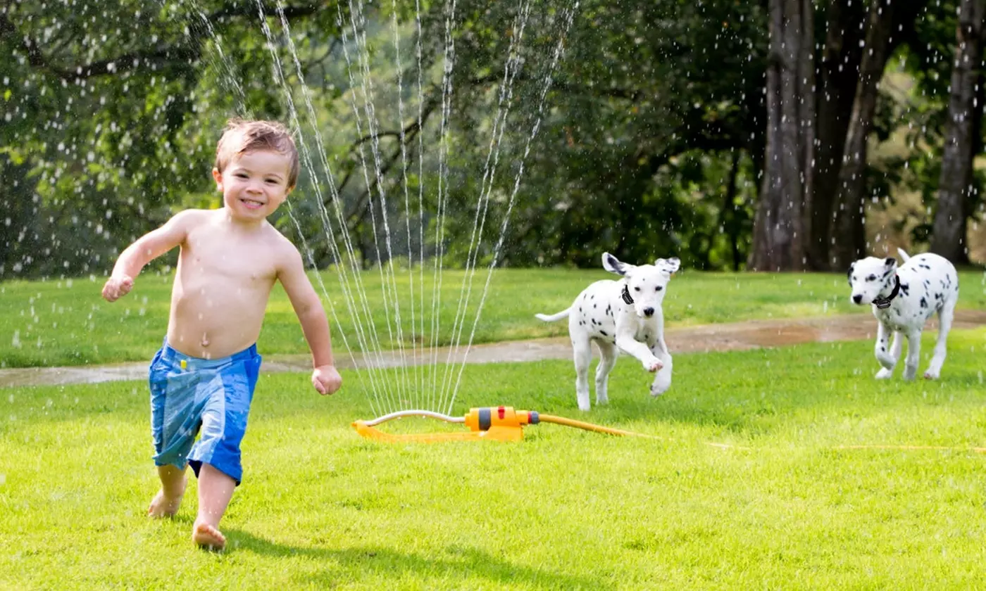 iMounTEK Wireless Electric Dog Fence System with Tone and Shock Containment