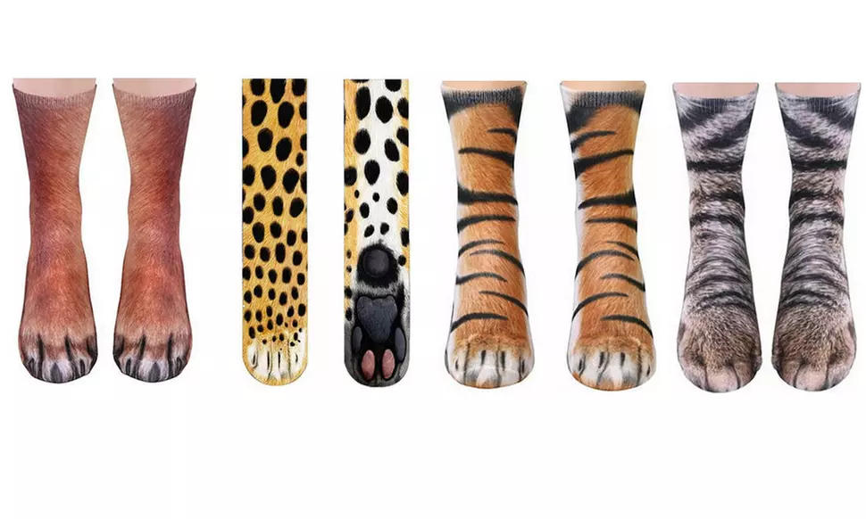 Animal Paws Socks-Novelty 3D Cat Dog Tiger Paw Crew Socks for Women Men - Primary Image