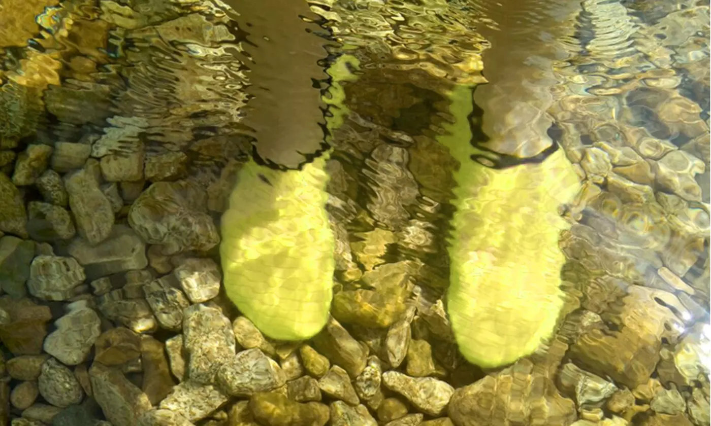 Water Shoes Barefoot Water Skin Shoes Aqua Socks Beach Sock Pool Quick Dry