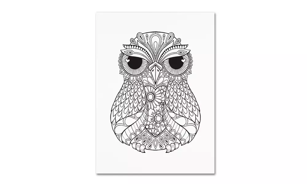 Hello Angel 'Owl 4' Canvas Art - Second Medium