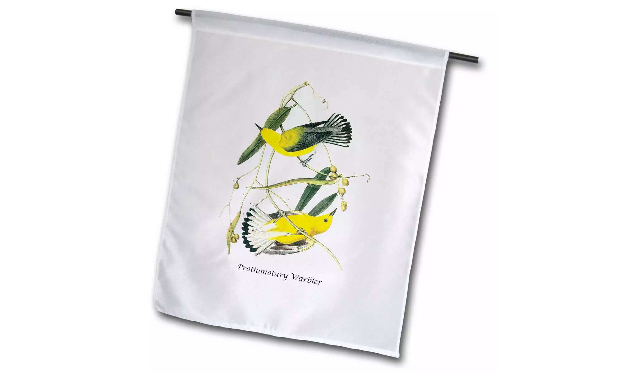  Garden Flag Prothonotary Warbler by John James Audubon - 12 by 18-inches  - Second Medium