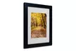 Kurt Shaffer 'Golden Autumn Walk' Matted Black Framed Art - Second Medium