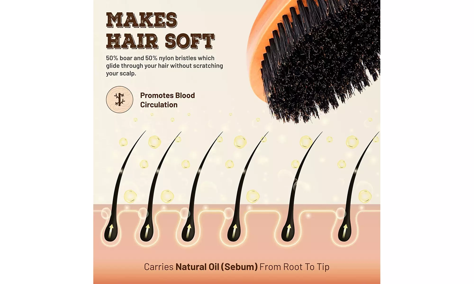 Styleomize Medium Hard Curved Wave Brush for Men 360 Degree - Primary Image
